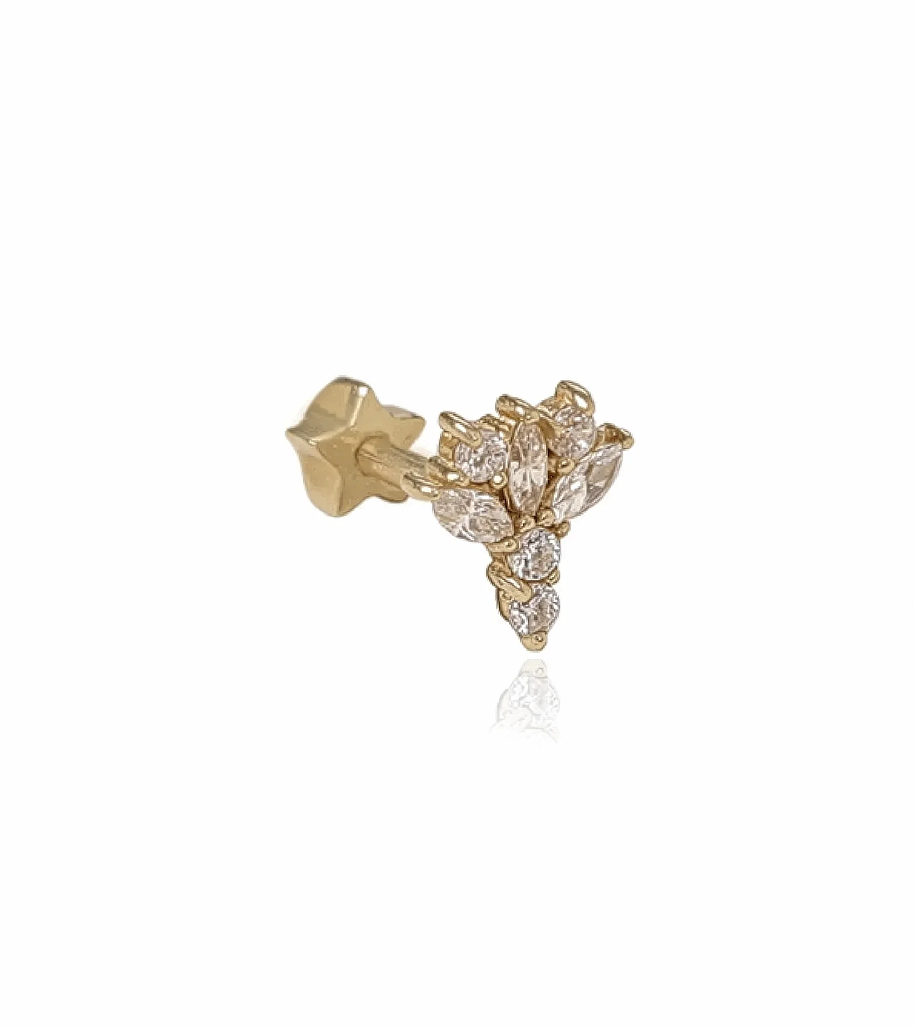 Buket Piercing (Tragus)